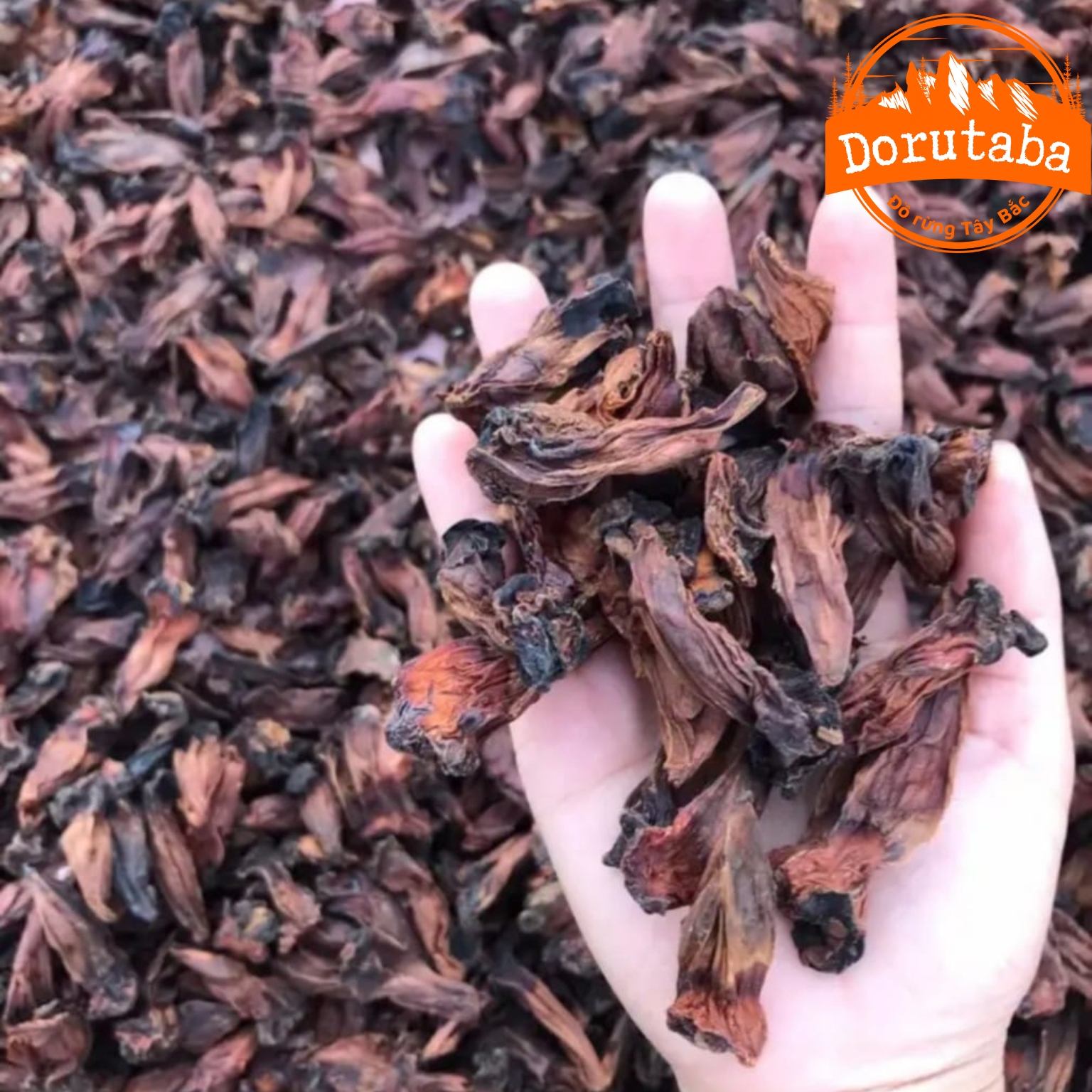 Na rừng Tây Bắc khô ngâm rượu loại 1 được phơi, sấy khô từ quả na rừng tươi, chín thơm ngon