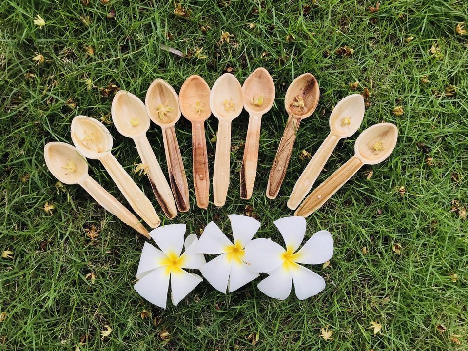 Set 10 thìa mo cau đồ dùng một lần an toàn sức khỏe - thân thiện môi trường - thay thế đồ nhựa dùng một lần
