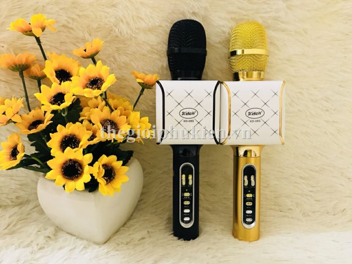Micro Karaoke Bluetooth kèm loa KD-08S