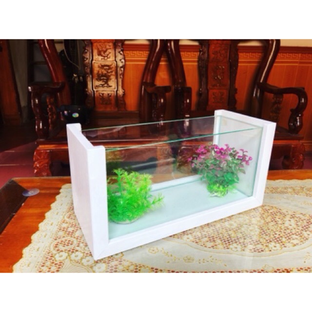 Bể cá cảnh khung gỗ size 40cm kèm Đèn và Lọc thác trang trí nhà cửa