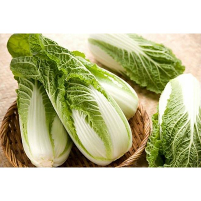 Hạt Giống Cải Thảo Năng Suất Giòn Ngọt Giàu Dinh Dưỡng