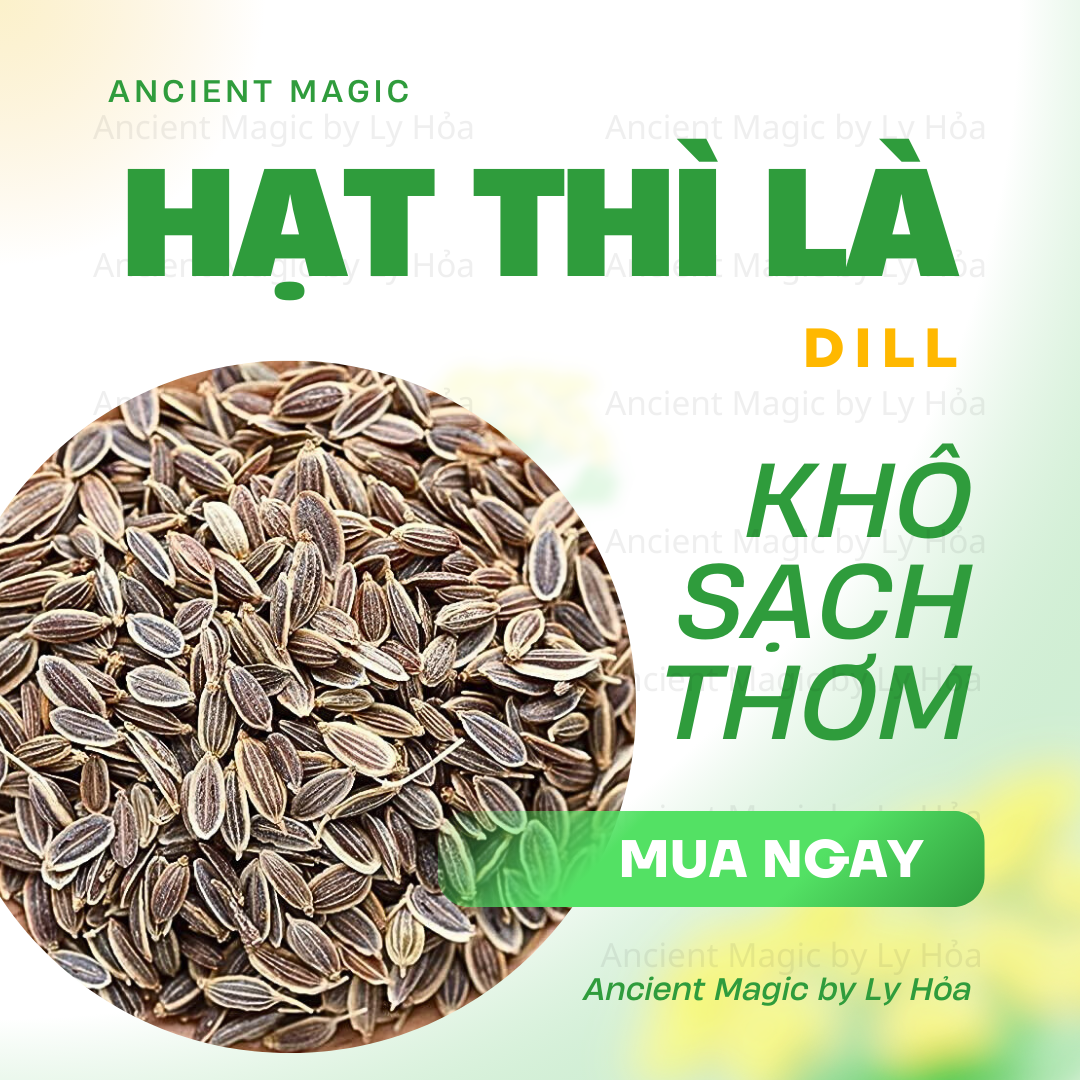 100g HẠT THÌ LÀ KHÔ (Dill Seeds) | Spell / Witchcraft - Gia vị nấu ăn… | Ancient Magic by Ly Hỏa