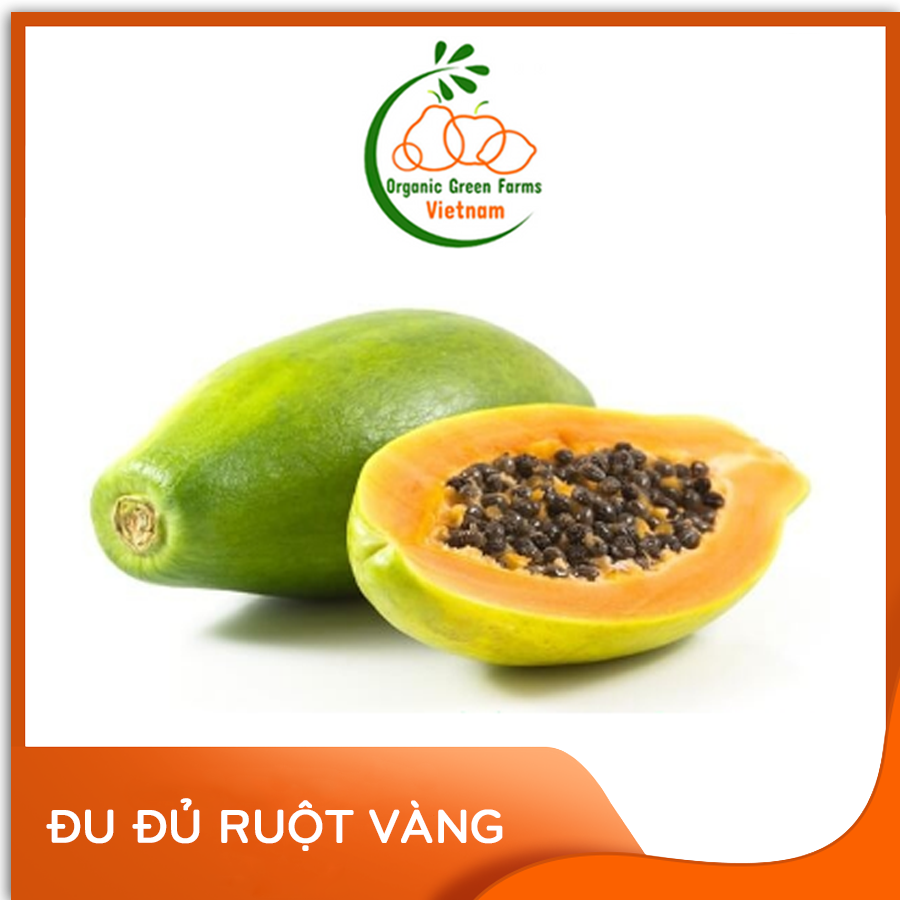 [OGF] - Đu đủ ruột vàng - Giao nhanh HCM