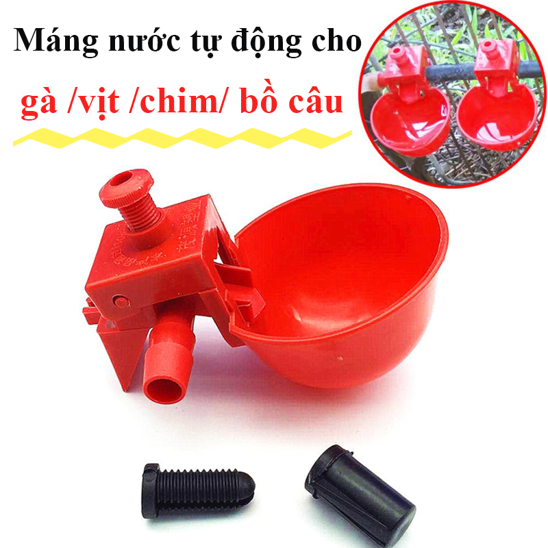 Máng uống nước tự động cho gà ngan vịt chim bồ câu - Máng uống nước tự động cho gia cầm sử dụng tiện lợi