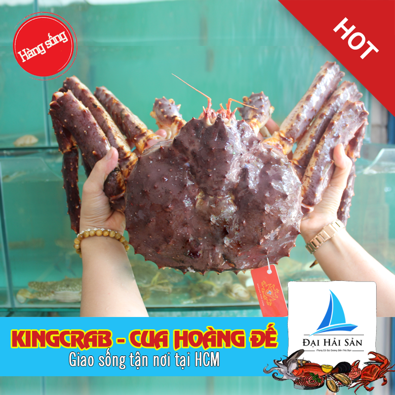 HCM - Cua Hoàng Đế Sống - Giao Nhanh