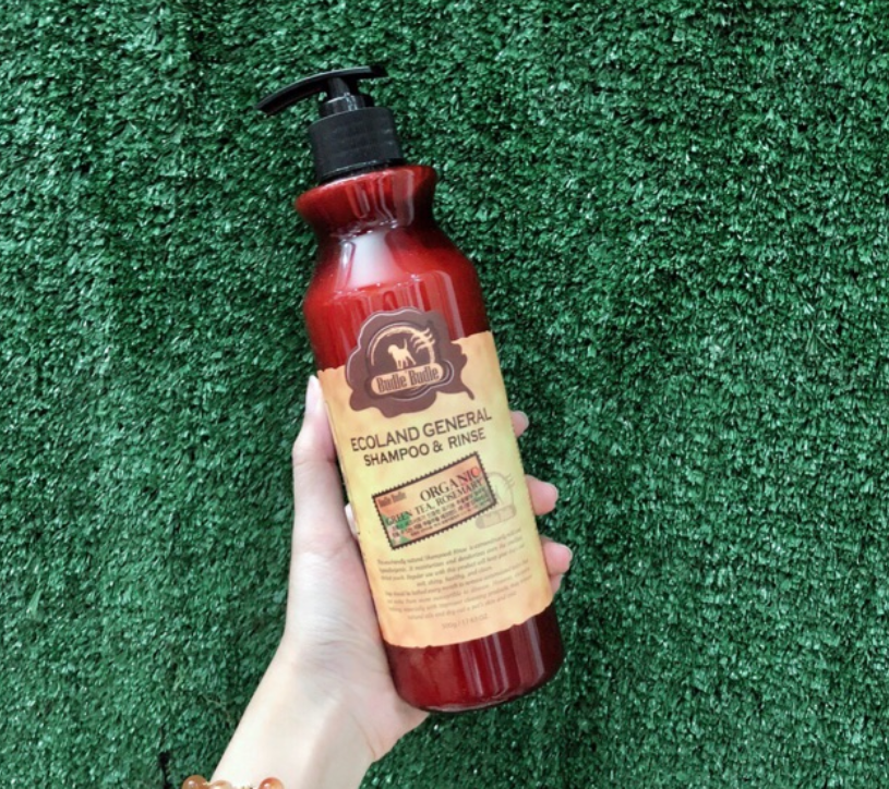 Sữa Tắm Và Xả Budle'Budle Ecoland General Shampoo & Rinse
