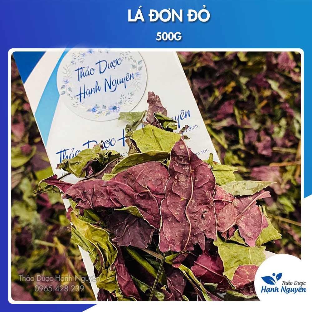 Lá đơn đỏ khô sạch 500g tốt cho tiêu hóa và hỗ trợ trị mẩn ngứa, mụn nhọt