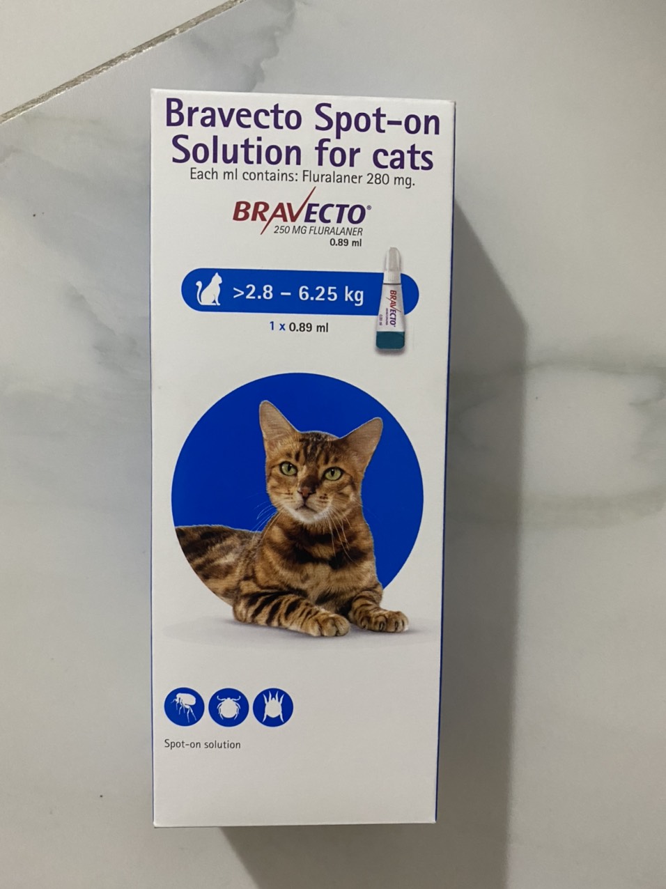 1 hộp Bravecto dành cho Cat trên 2 tháng tuổi