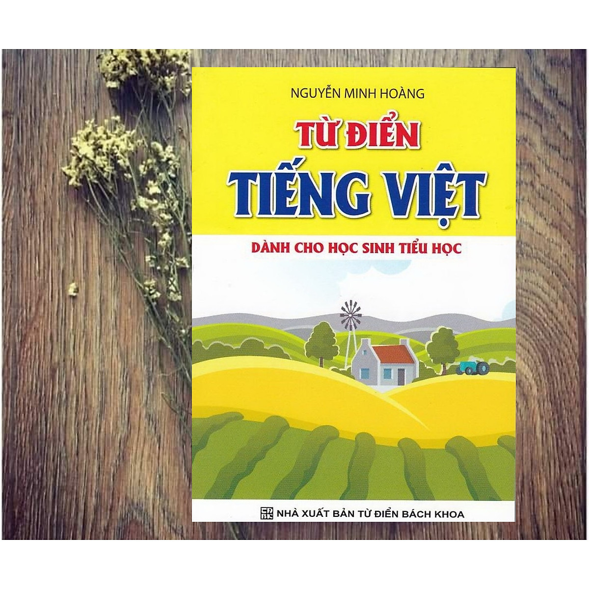 Từ điển tiếng việt dành cho học sinh tiểu học
