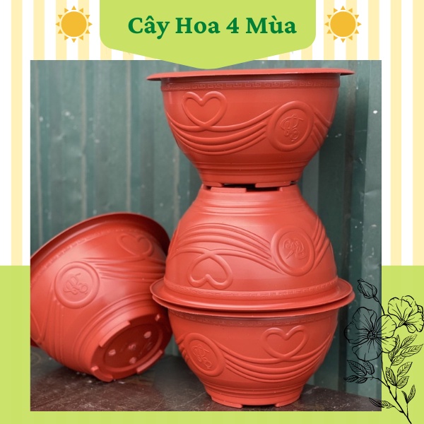 Chậu nhựa tròn phúc lộc thọ trồng cây hoa vân đá các màu đủ size
