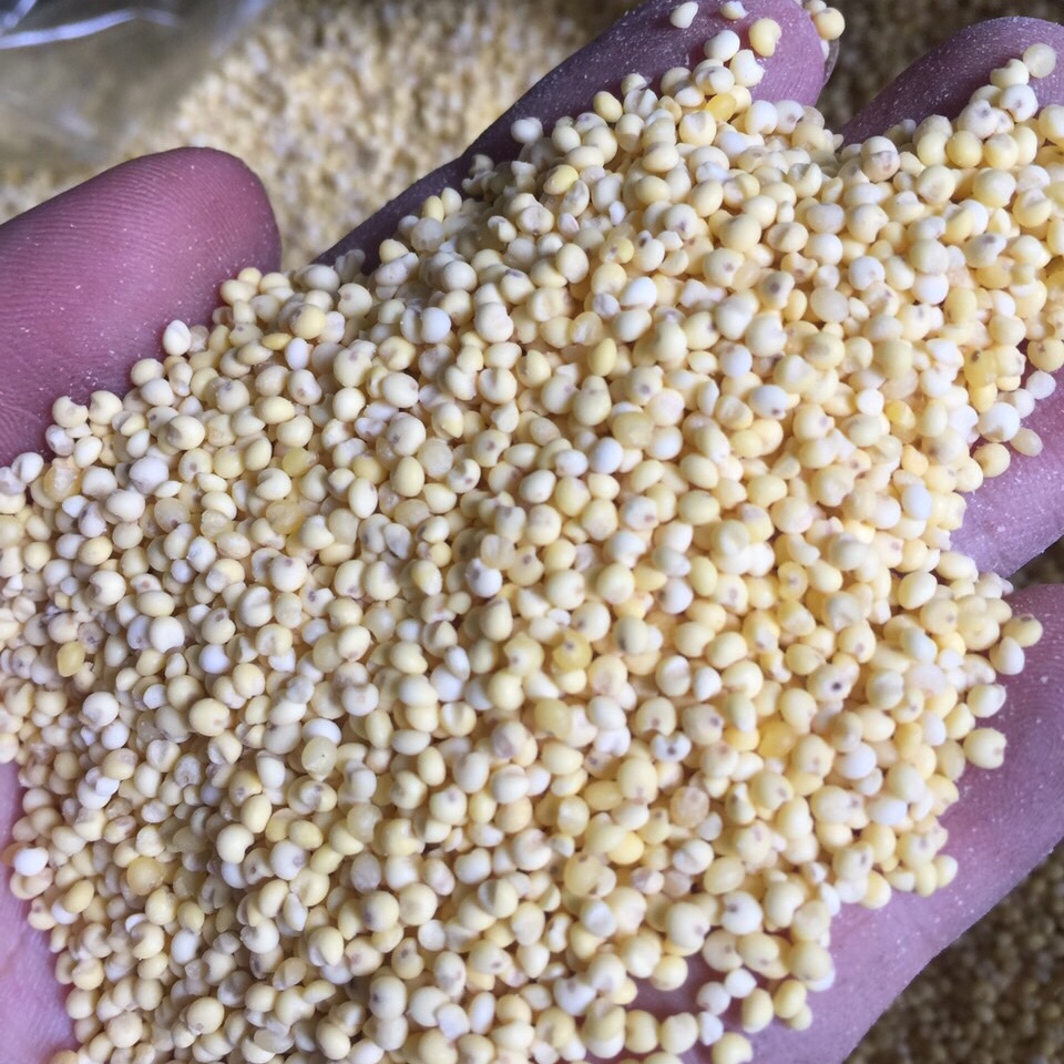 Kê nếp vàng nghệ an 1kg đã bóc vỏ