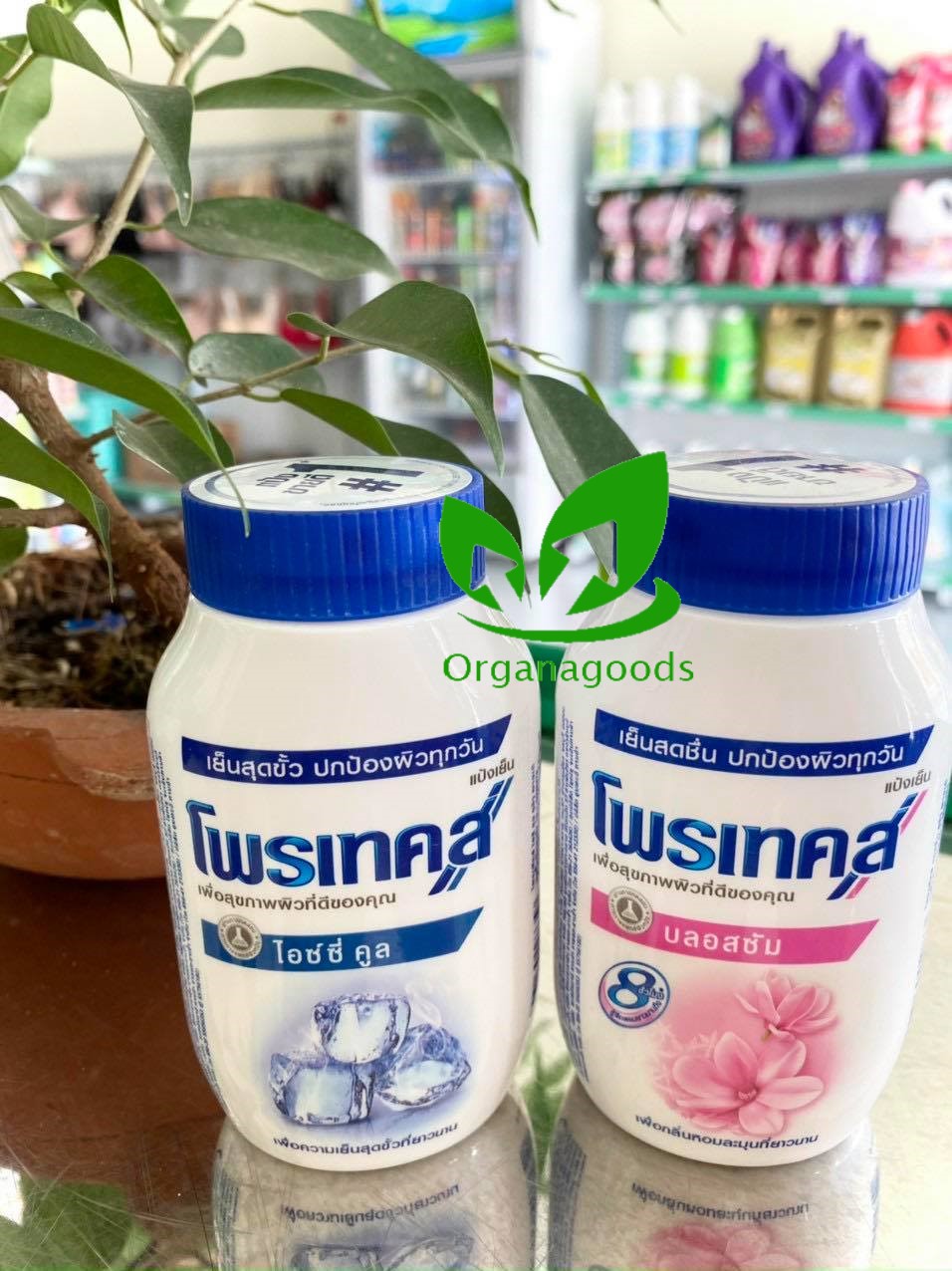 Phấn lạnh siêu khô thoáng Protex Thái Lan