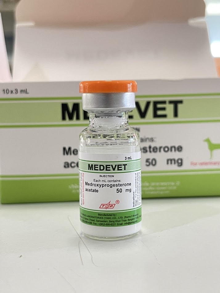 Medevet triệt sản chó mèo