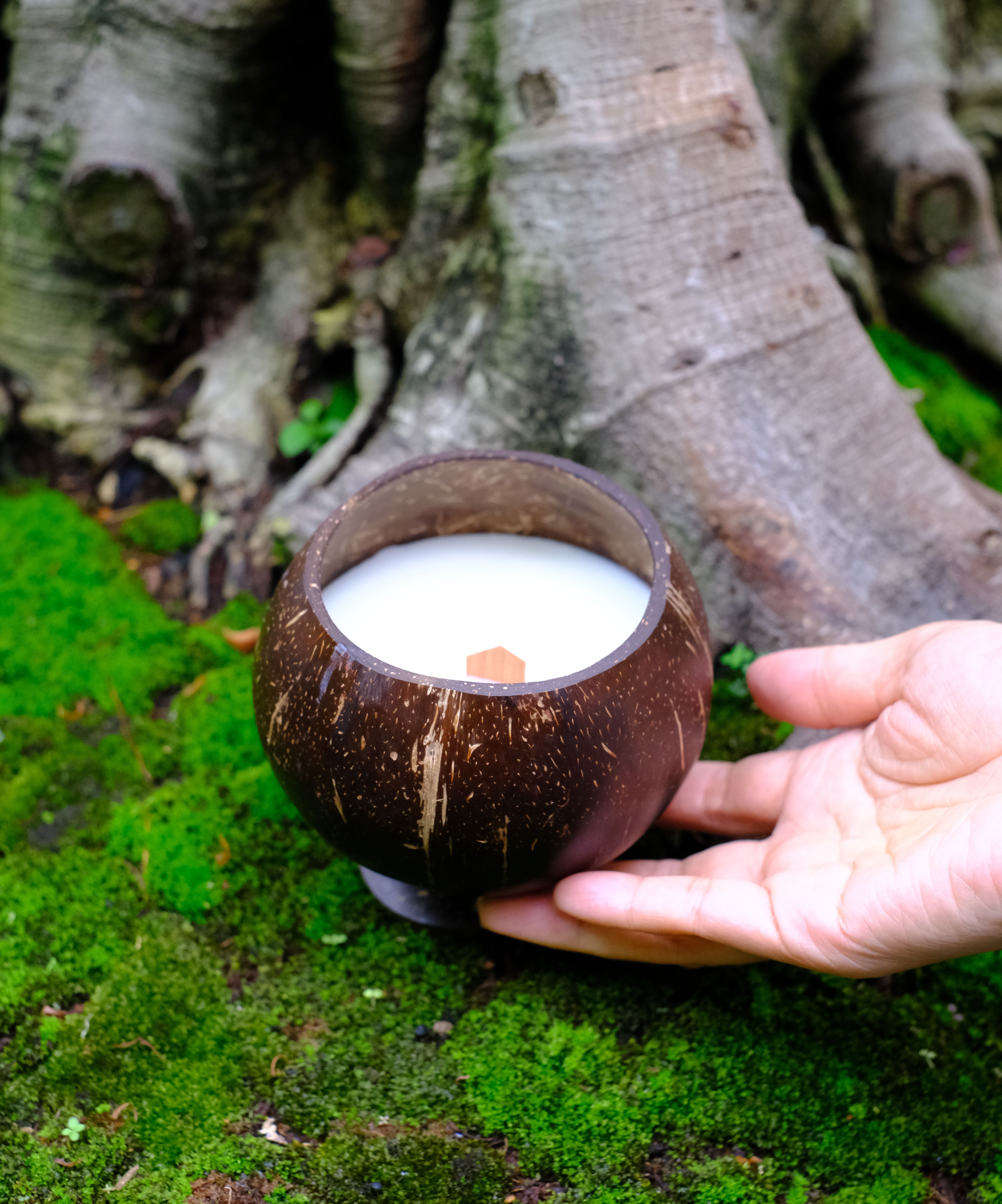 Nến thơm tinh dầu gáo dừa