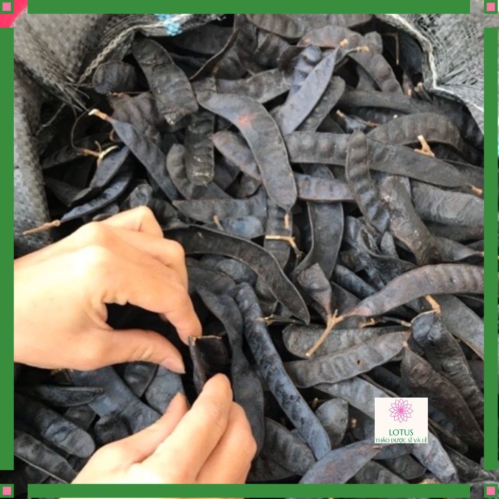 Quả bồ kết 1 kg siêu chạy hàng lt226