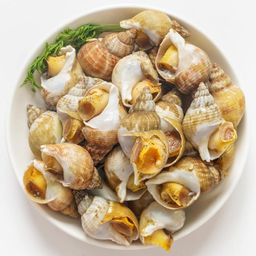 Ốc Bulot Pháp Sạch không cát - Size 20-30 con 1kg (giao hcm)