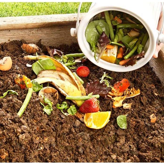 Chế phẩm vi sinh trichoderma dùng ủ phân, xử lý rác