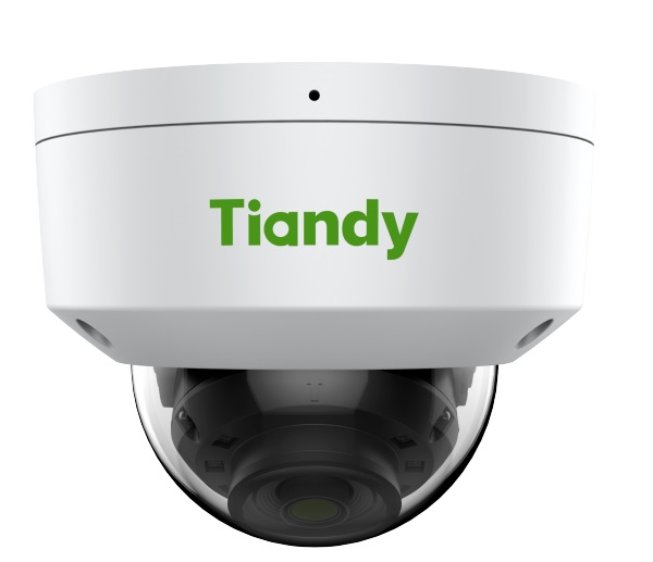 Tiandy tc-c32kn IP camera/2MP/sp006518 infrared dome IP camera-authentic