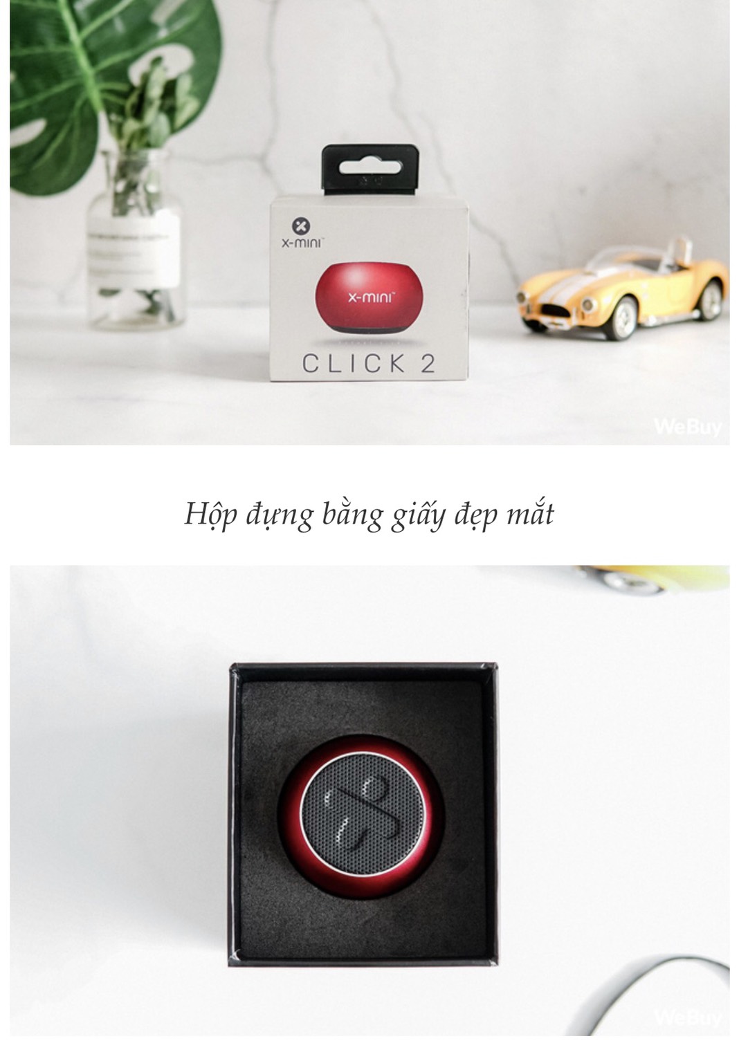 Loa X mini