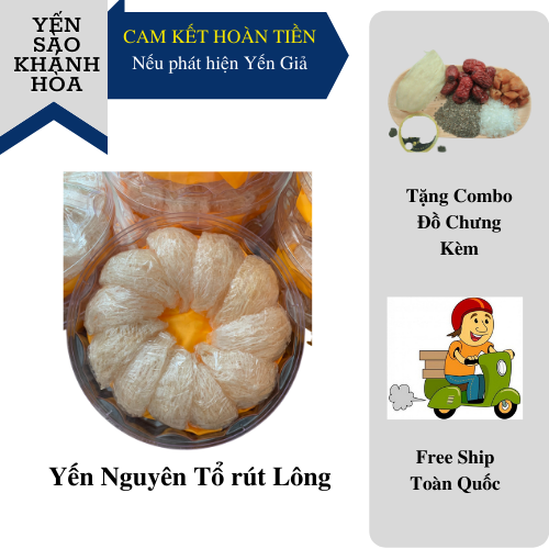 Yến nguyên tổ rút lông 50gram - yến sào khánh hòa - tặng kèm táo đỏ, hạt chia, long nhãn, đường phèn, cẩm nang