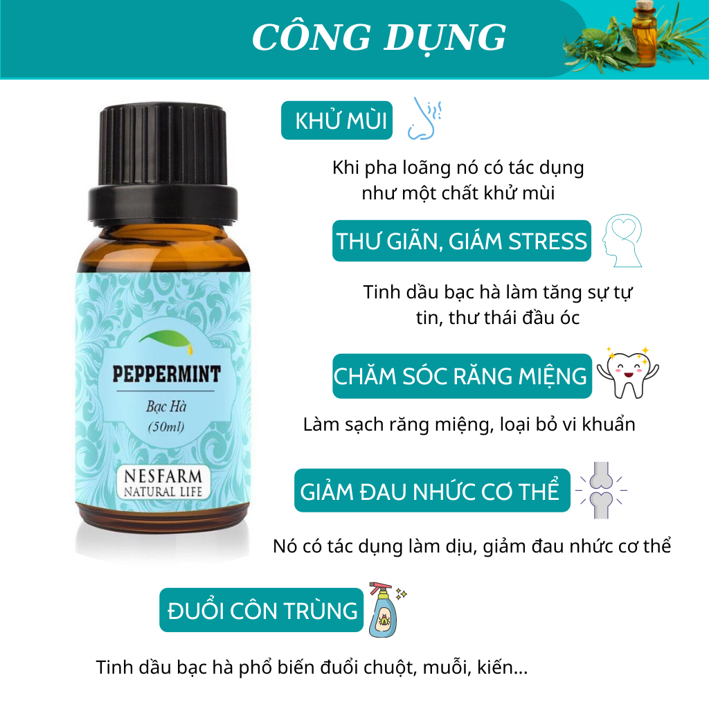 Tinh dầu nguyên chất 50ml mùi tự chọn quế tràm bạc hà sả nesfarm tdl50