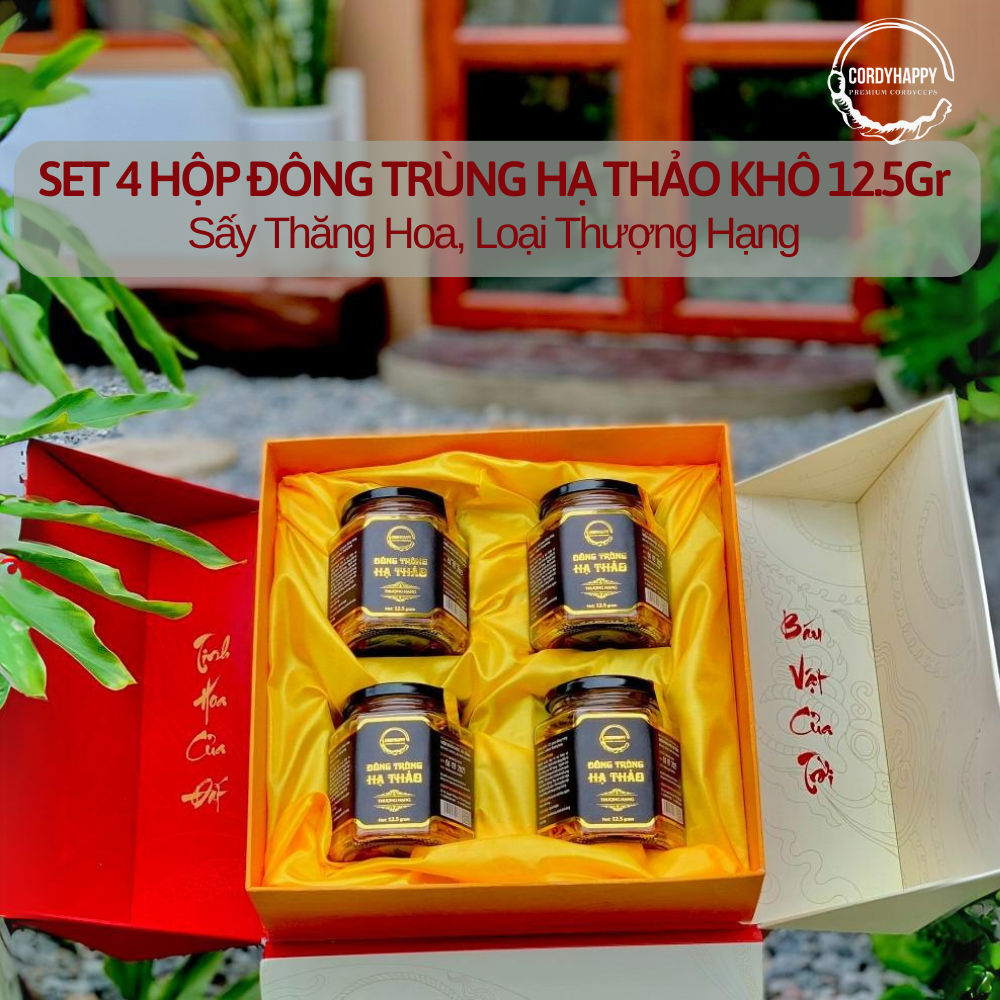 Set 4 hộp đông trùng hạ thảo khô sấy thăng hoa cordyhappy 12.5g