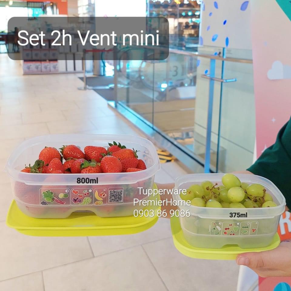 Set 2 hộp trữ mát có nút hô hấp vensmart