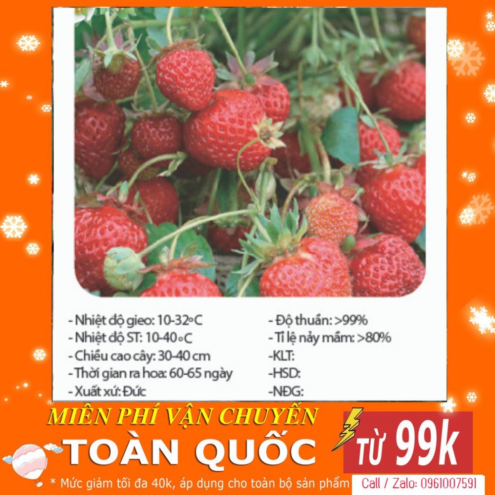Hạt Giống Dâu Tây Chịu Nhiệt F1-50 Hạt