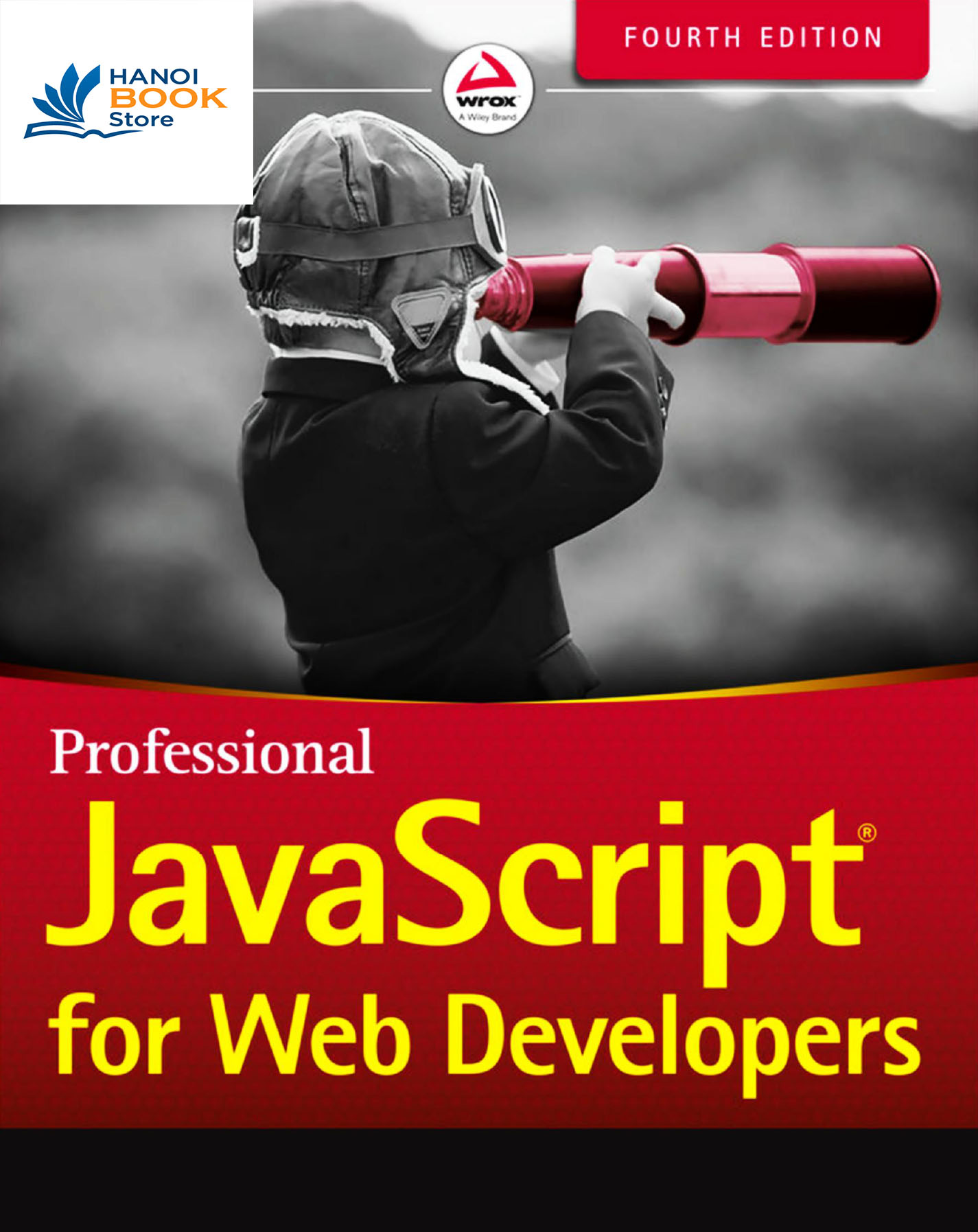 Sách tiếng anh Professional JavaScript for web developers
