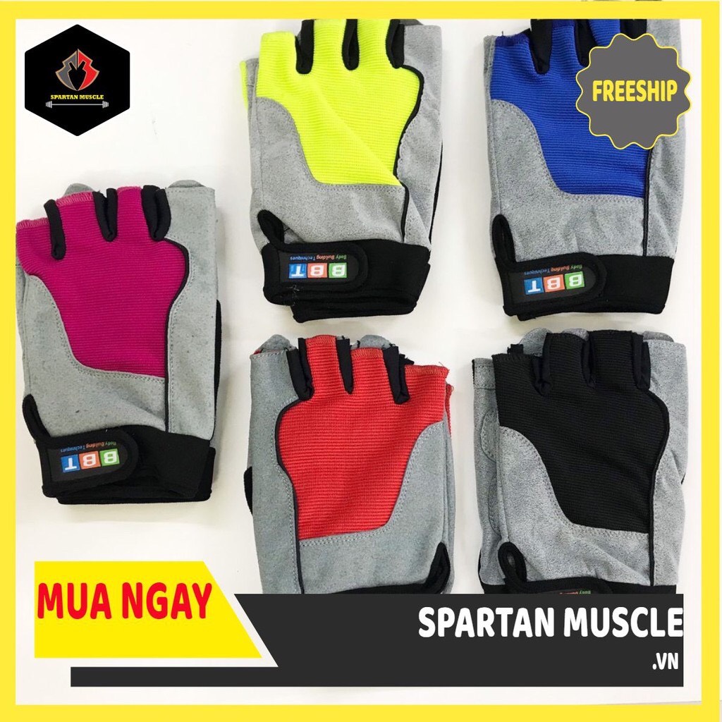 Găng tay GYM THOL chính hãng đầy đủ màu sắc