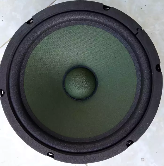 1 loa bass 25cm củ từ 120mm coil 35mm