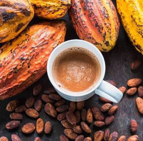 Bột ca cao nguyên chất từ Đăk Lăk 500g