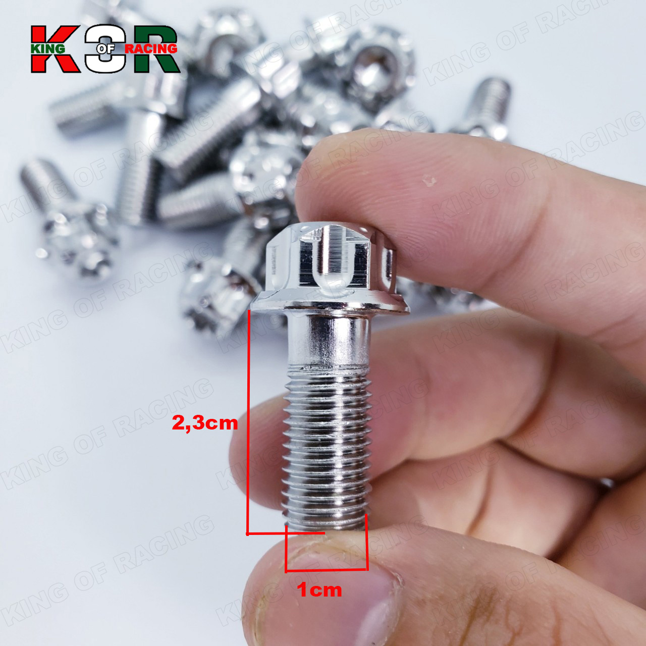 1 Ốc salaya 10li23 bắt pát heo dầu xe máy yamaha cao cấp