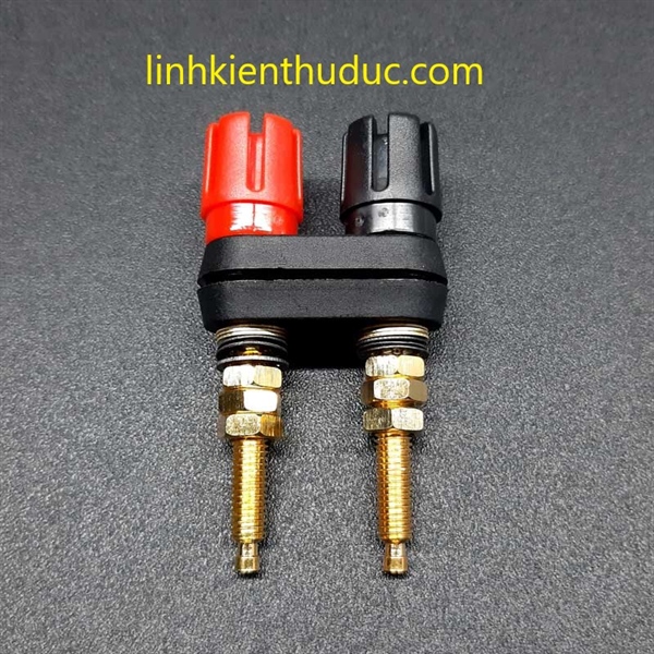 Cọc loa đôi đỏ đen chân dài