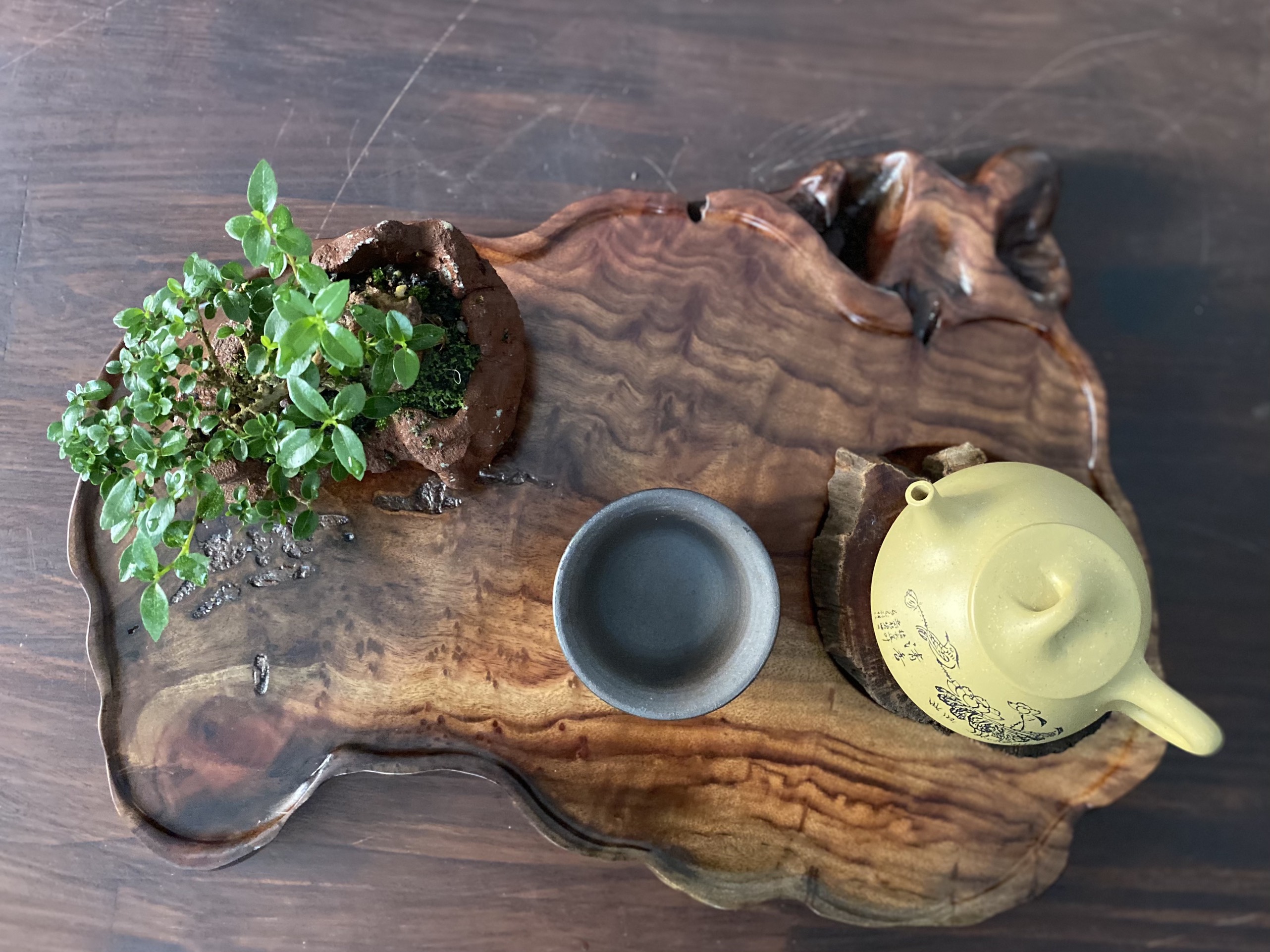 Khay trà gỗ xá xị