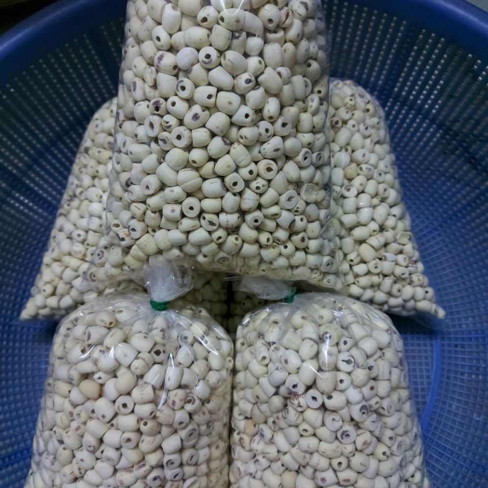 Hạt sen khô