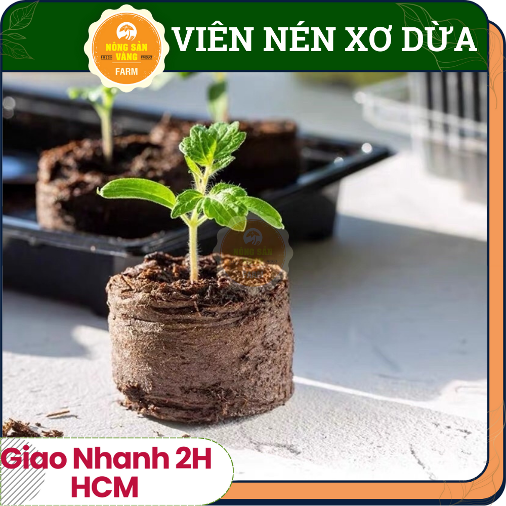 [Combo 50 viên] Viên Nén Xơ Dừa, Loại Chuyên Dụng Dùng Để Ươm Cây Con, Đầy Đủ Dưỡng Chất Thiết Yếu Cho Cây Trồng, Tiện Lợi, Hiệu Quả Gieo Trồng Cao - Nông Sản Vàng