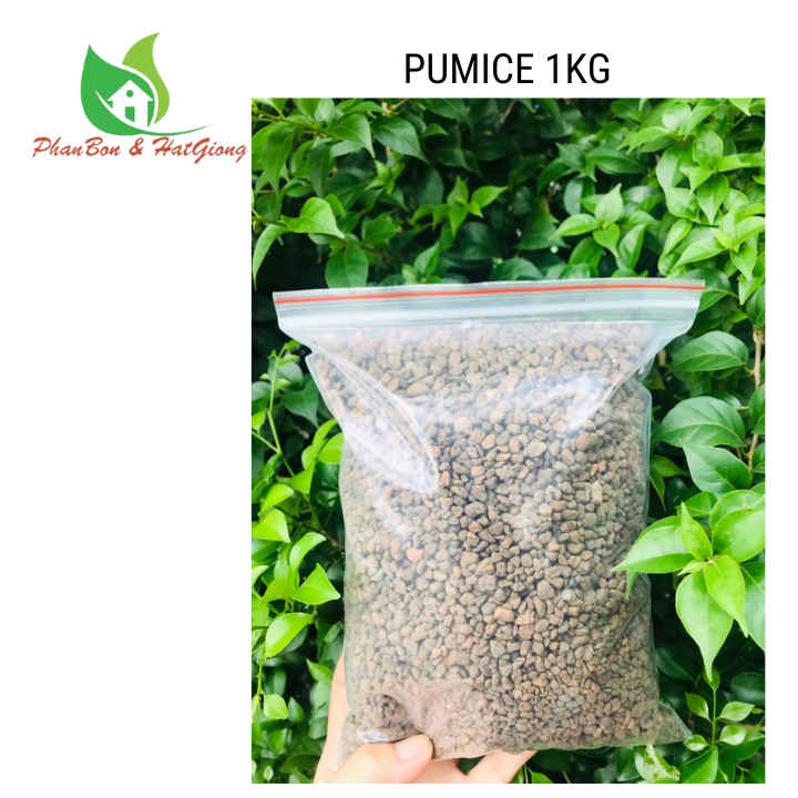 Đá Pumice cao cấp - Đá Anh Vũ nhập khẩu Indonesia
