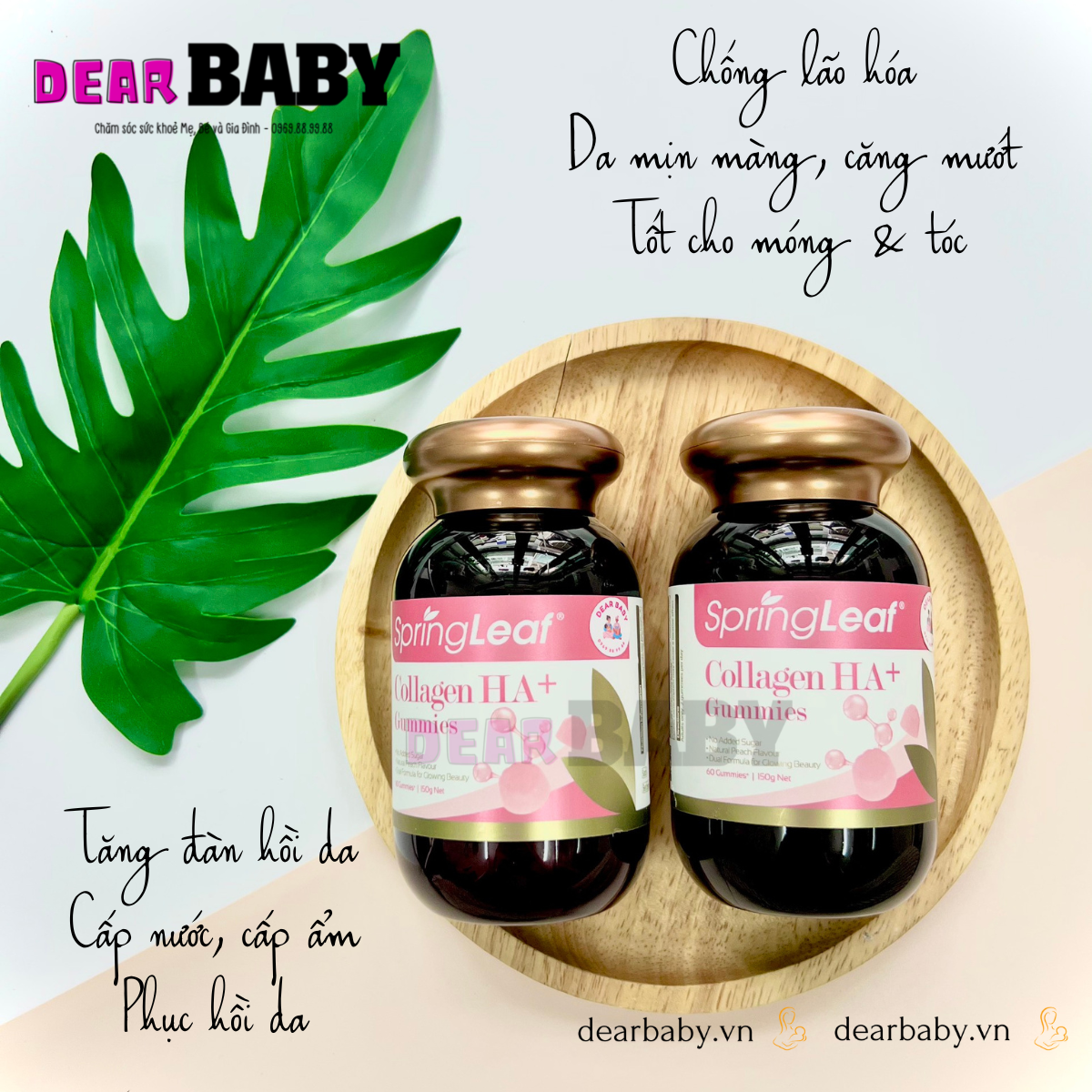 Kẹo dẻo bổ sung Collagen HA + Gummies SpringLeaf