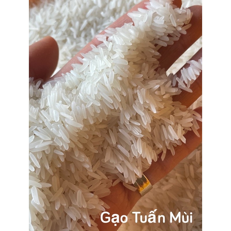 Gạo lài bún
