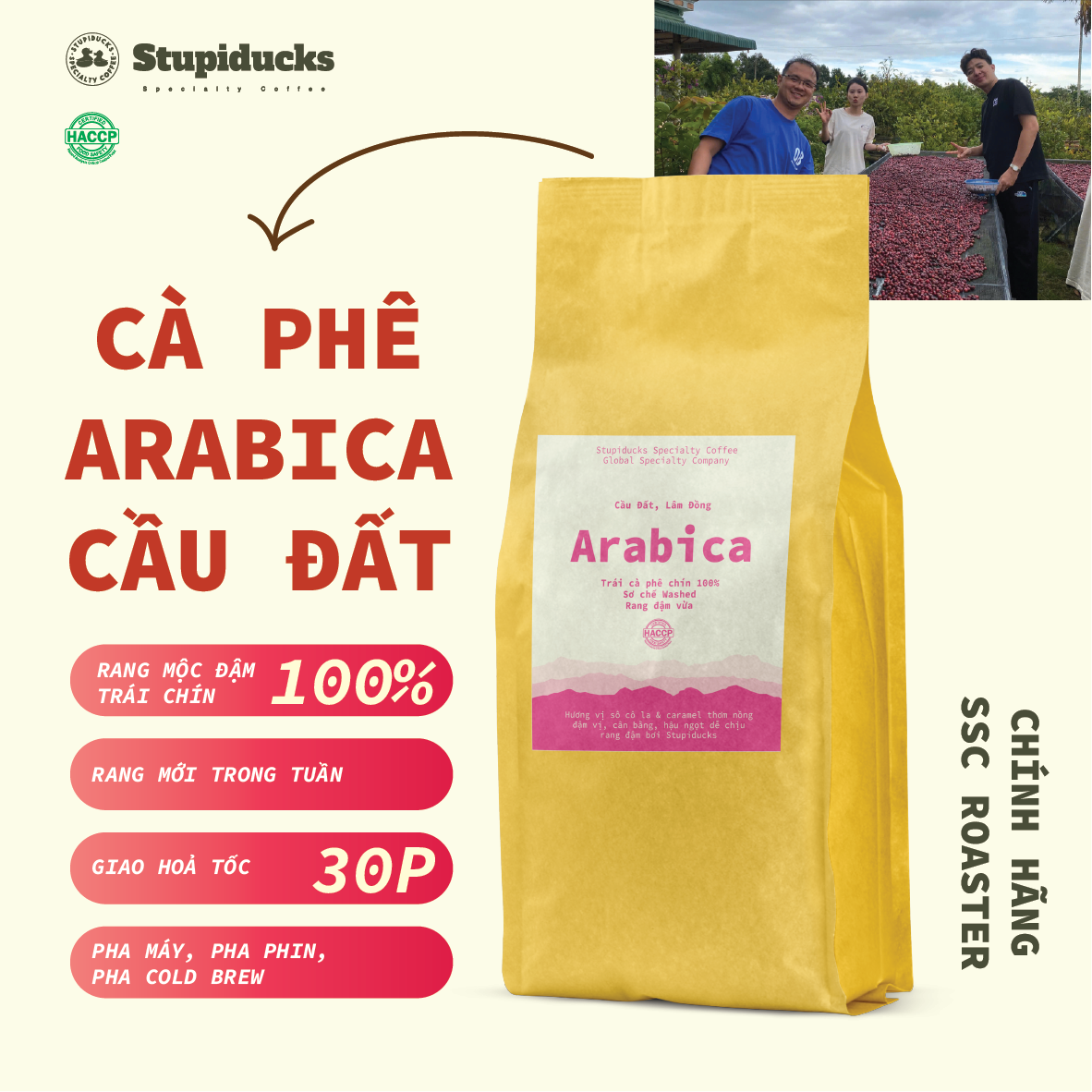  Cà phê Arabica Cầu Đất Đà Lạt Fully Washed Việt Nam SHG Lotus  high quality  - Hương Vị Truyền Thống Thú Vị 