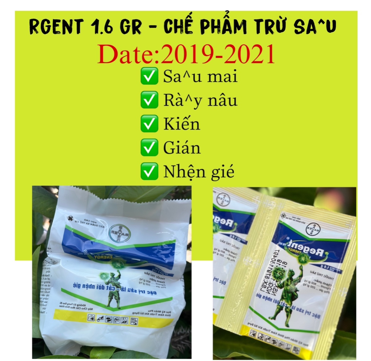 Regent 1,6gr chế phẩm trừ kiến, gián, côn trùng chích hút