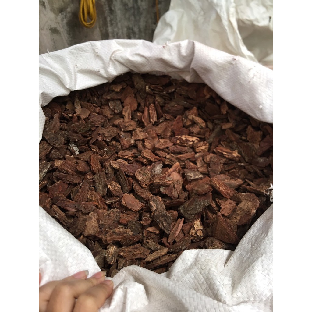 COMBO 10KG Vỏ thông đỏ trồng lan