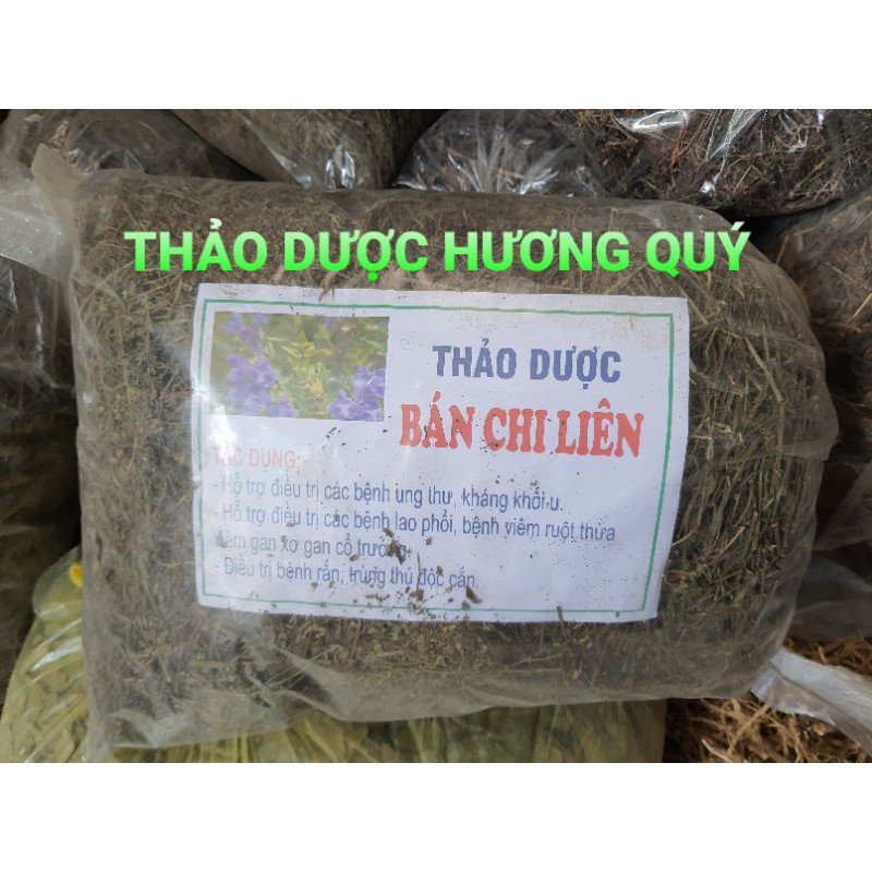 1 kg cây bán chi liên khô, sạch, mới thu hoạch