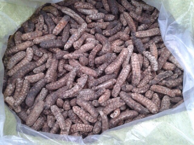 Chuối rừng khô cả quả