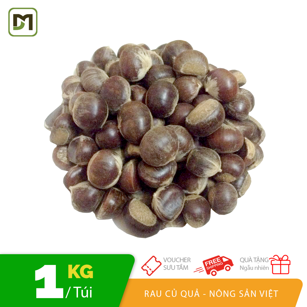 Túi 1kg Hạt dẻ tươi cơm vàng đặc sản Sapa