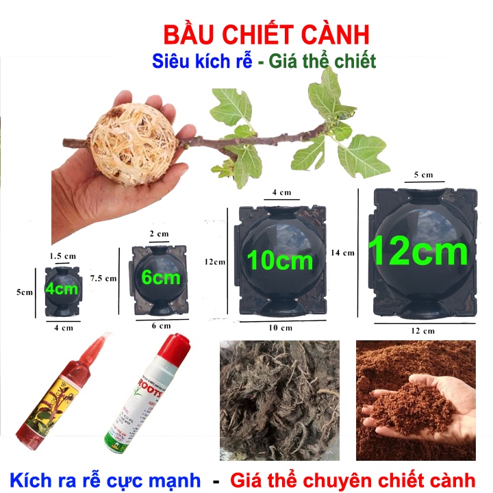 Bầu chiết cành 4cm 6cm 10cm 12cm, tăng khả năng ra rễ, chống úng cành chiết, tái sử dụng nhiều lần