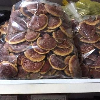 1kg nấm lim xanh
