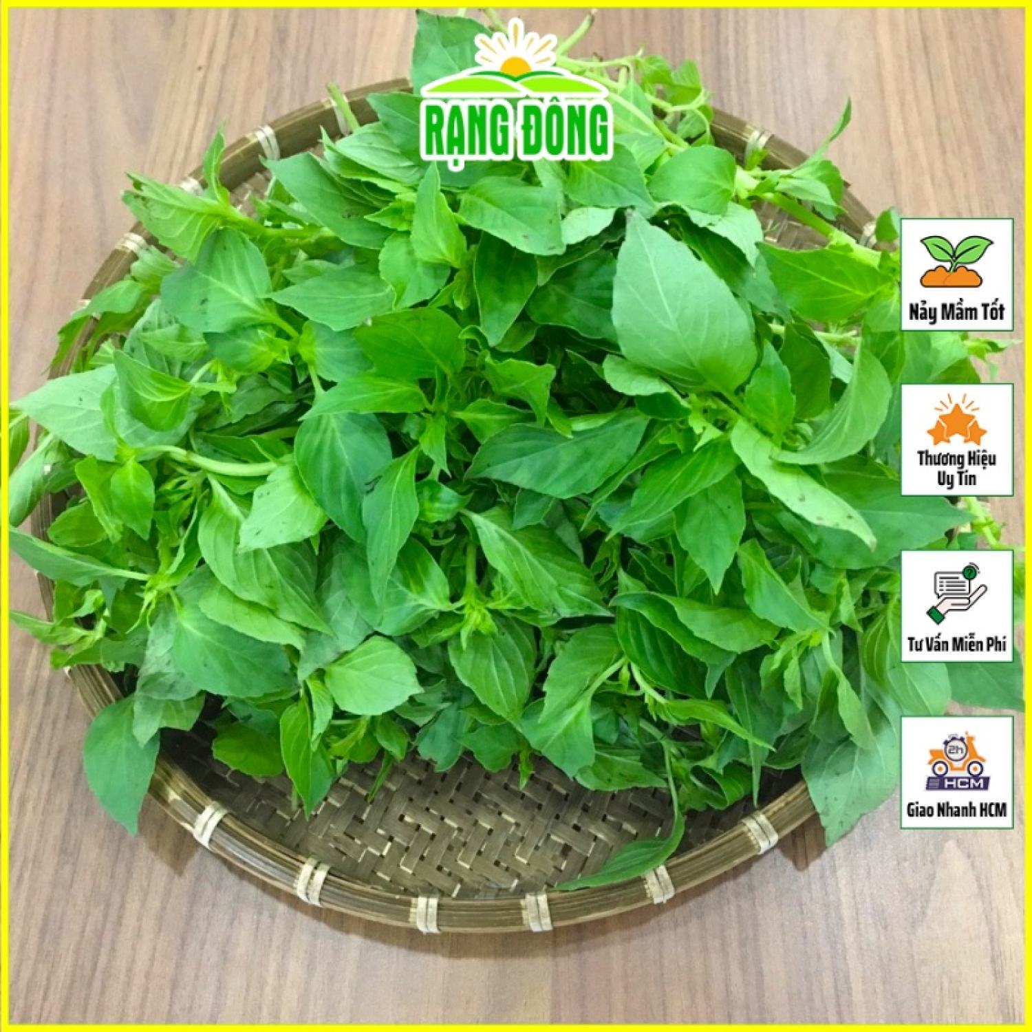 Hạt giống rau thơm sả sinh trưởng mạnh, trồng quanh năm - hạt giống rạng đông