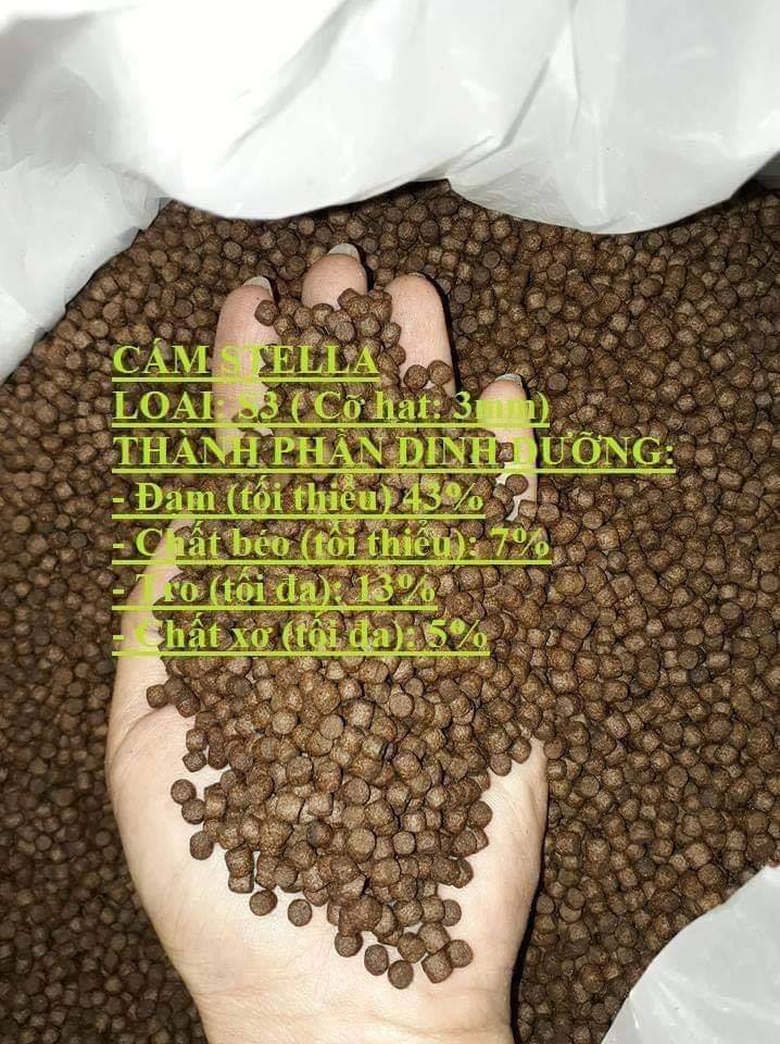 Cám Stella, Thức ăn cá KOI, cá Vàng, S3, 1kg, Cám không phẩm màu, không tan trong nước, hàm lượng đạm cao, cá tăng trưởng nhanh, không xệ bụng